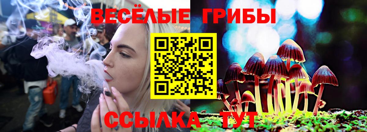 Псилоцибиновые грибы MAGIC MUSHROOMS Ревда